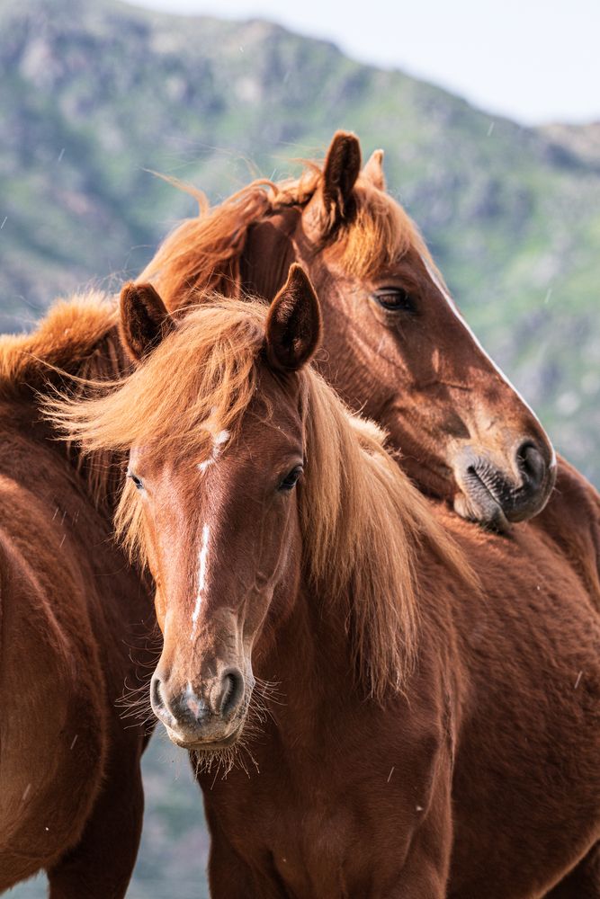 Photograph by VLADISLAV KIM