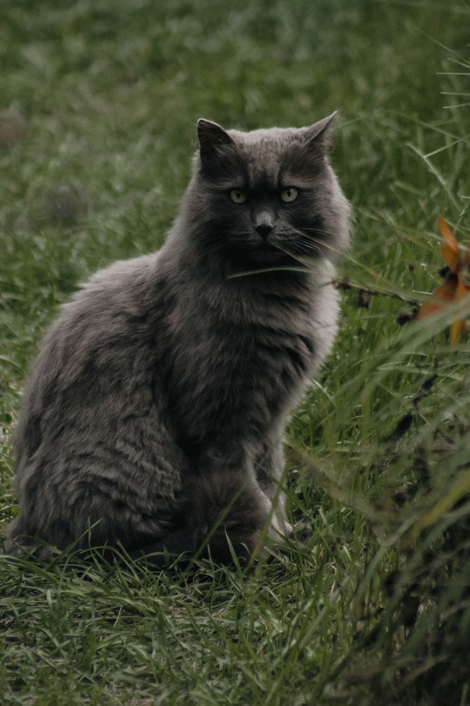 Photograph by Анастасия Псарёва