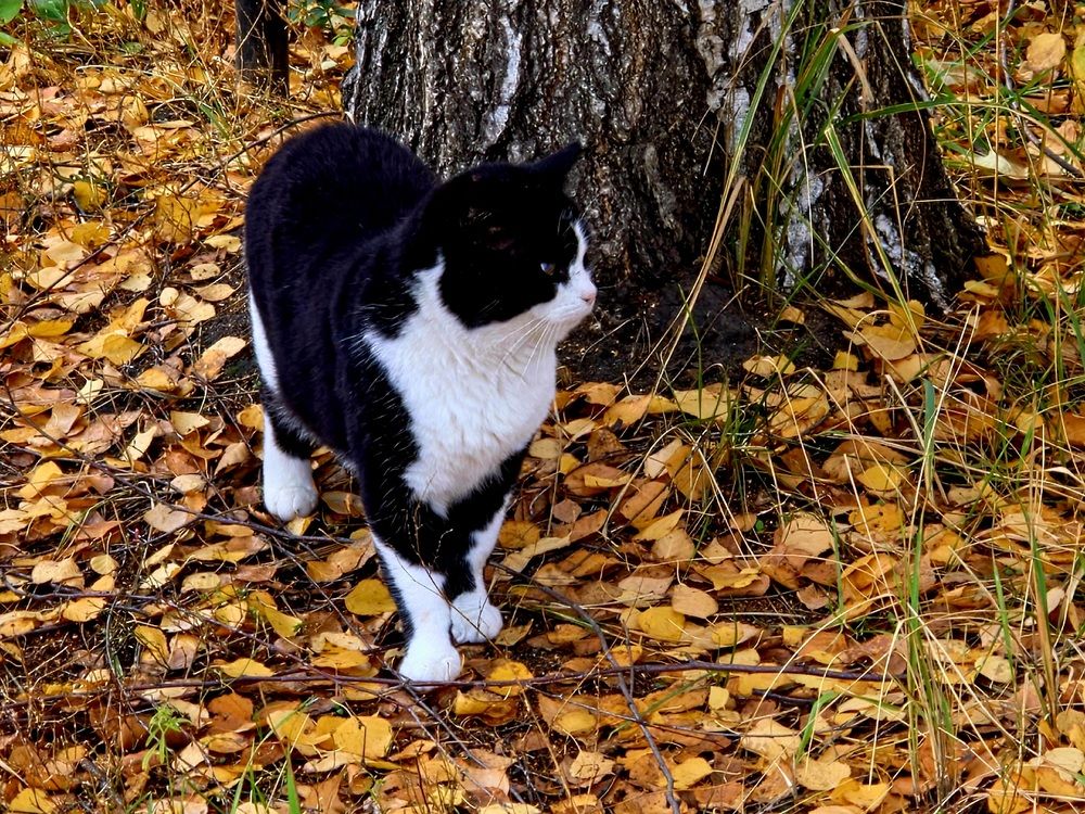 Photograph by Куделенко Оксана