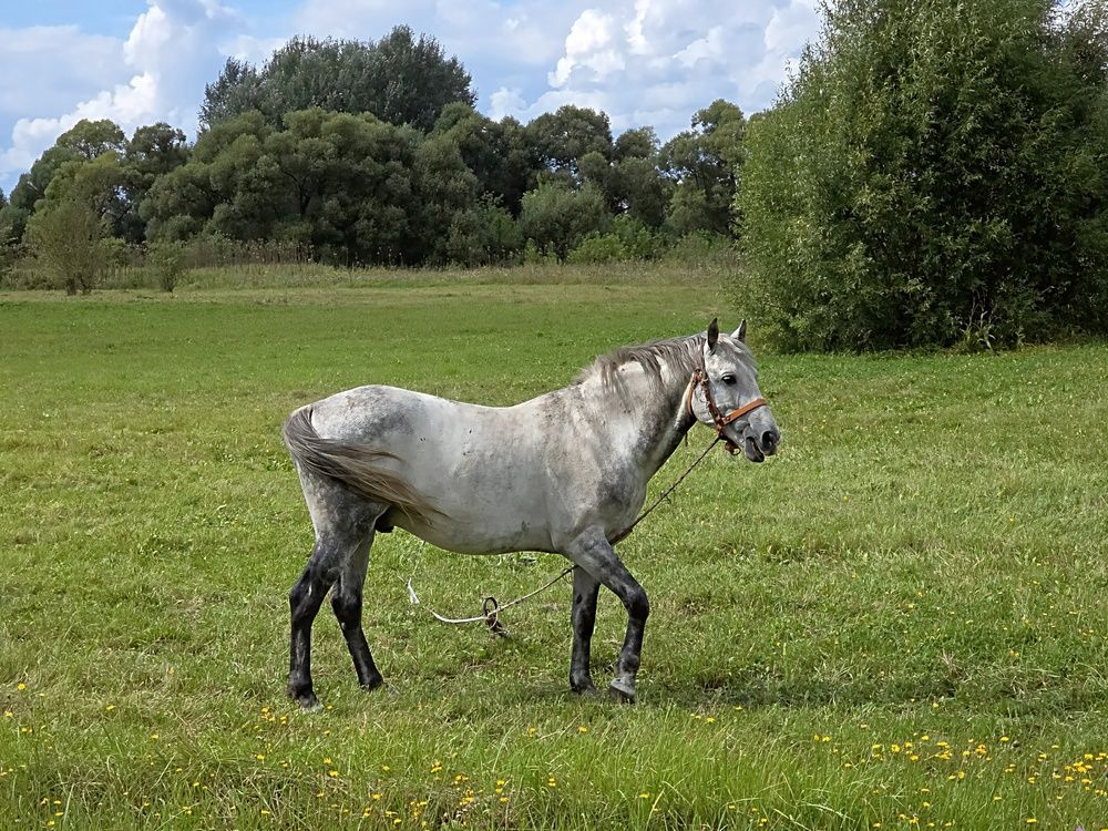Photograph by Куделенко Оксана