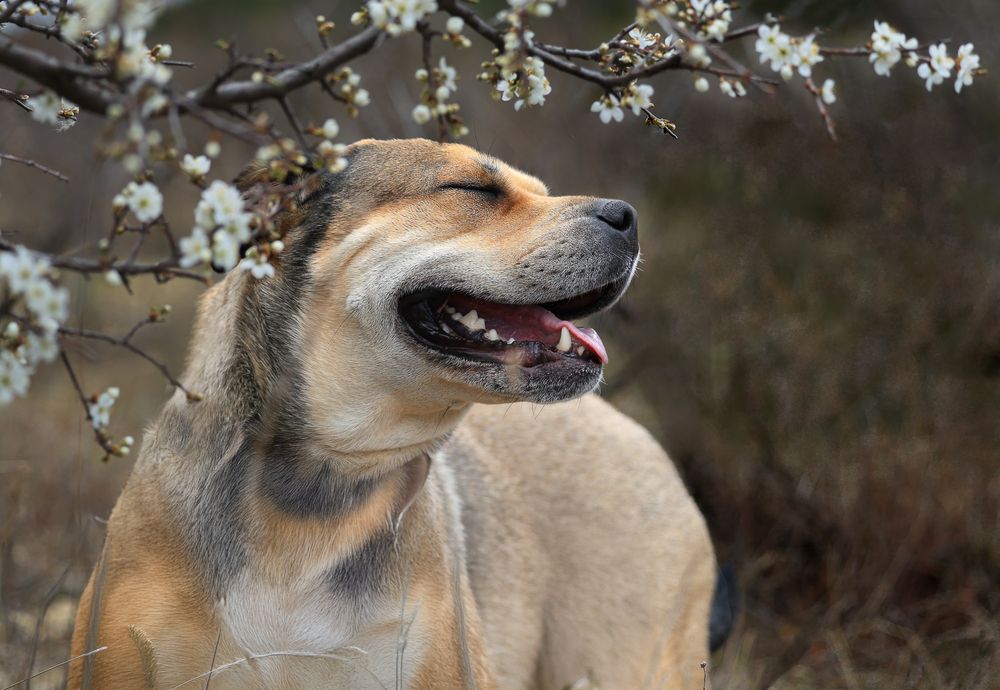 Photograph by Яна Карамышева