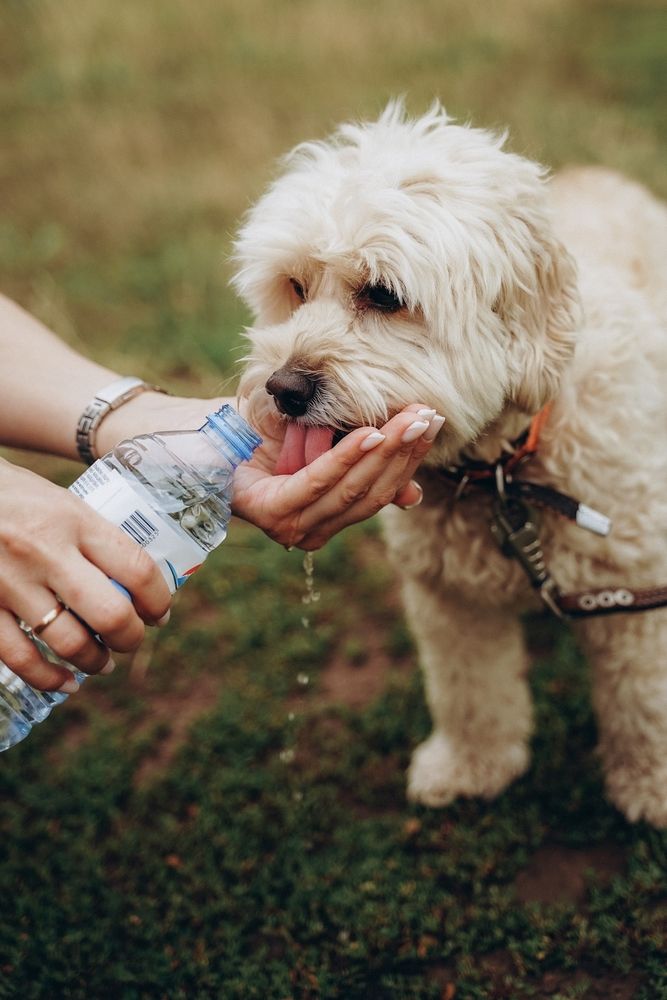 Photograph by Елена Киселева