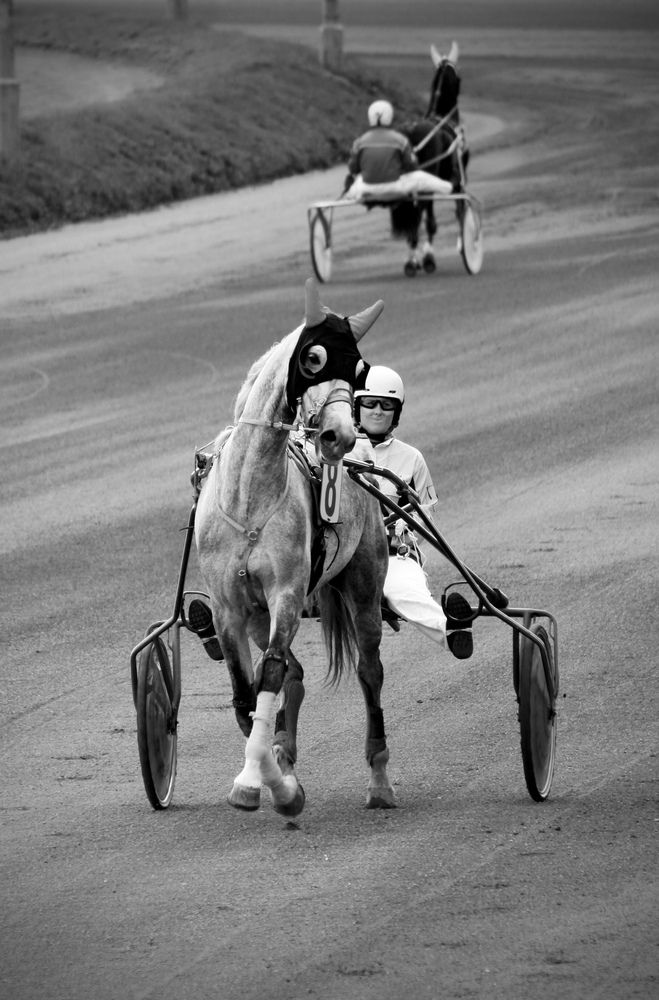 Photograph by Михаил Некрасов