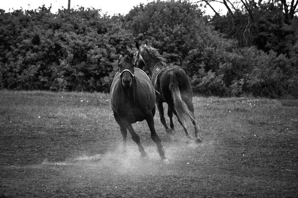 Photograph by Мария Лавриненко