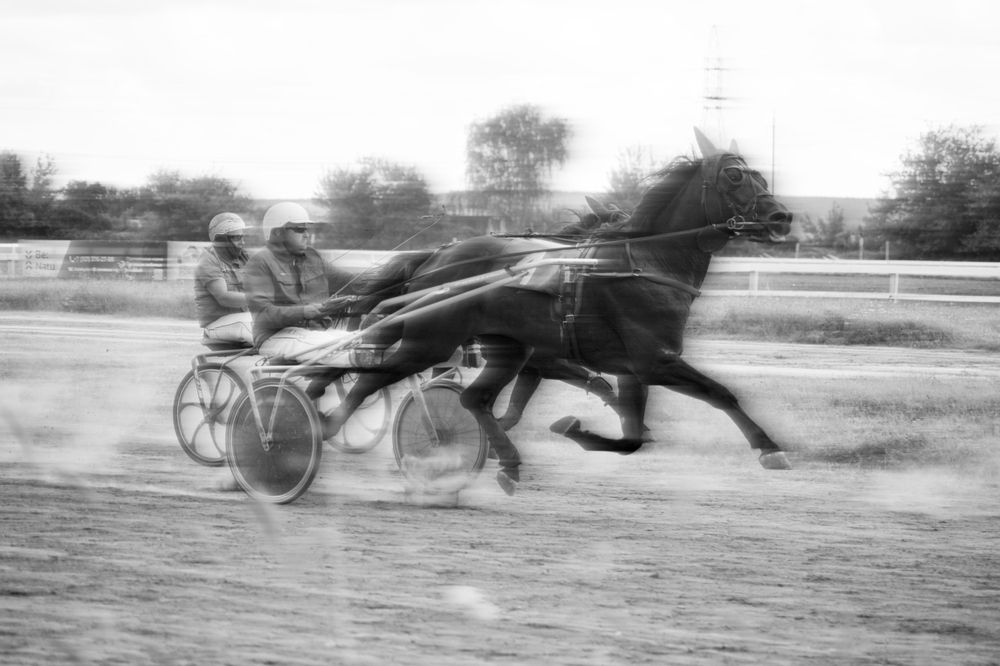 Photograph by Мария Лавриненко