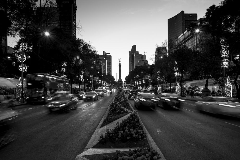 Photo #12810263