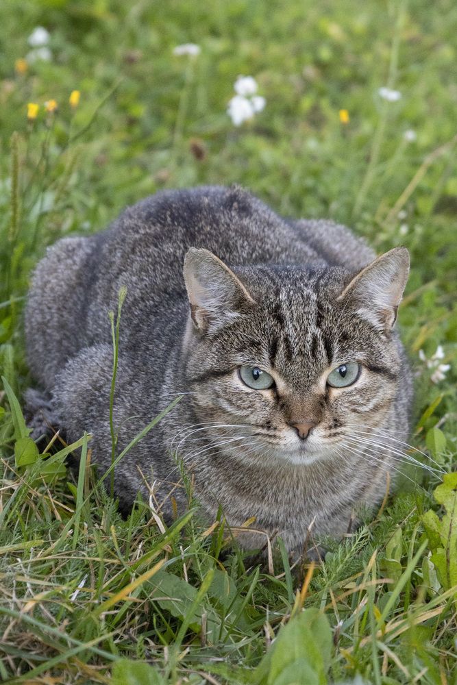 Photograph by Александр Новиков