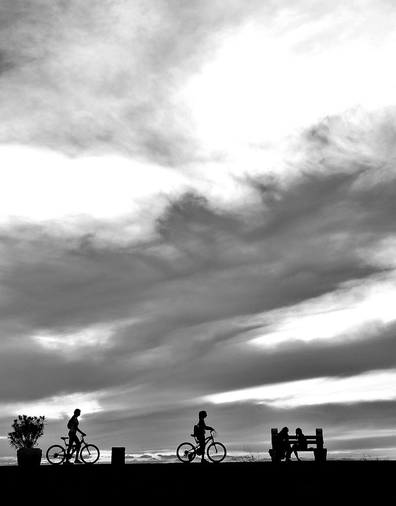 Фотография автора JELENA VASIC