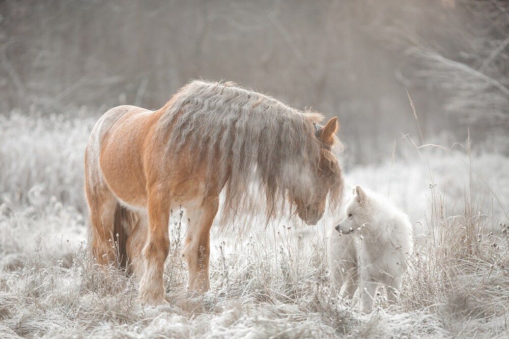 Photograph by Онучина Юлия