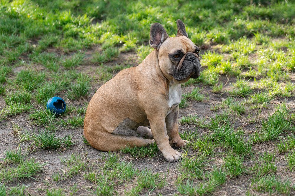 Photograph by Oxana Berezovskaya