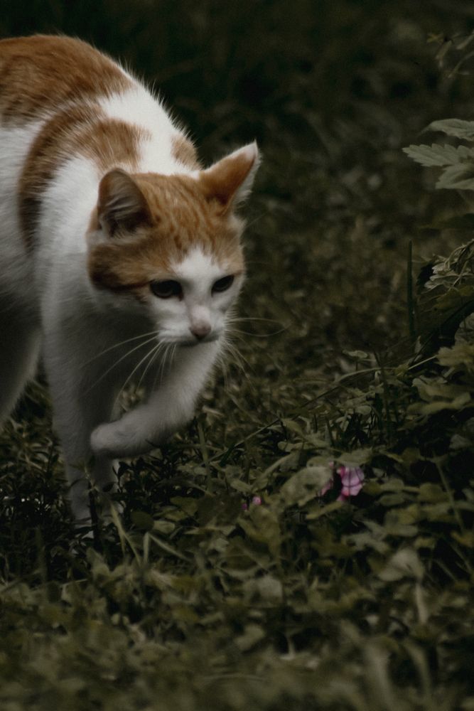 Photograph by Анастасия Псарёва