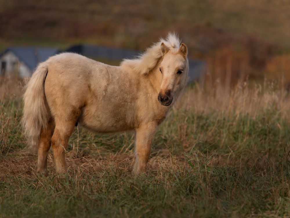 Photograph by Любовь Похабова