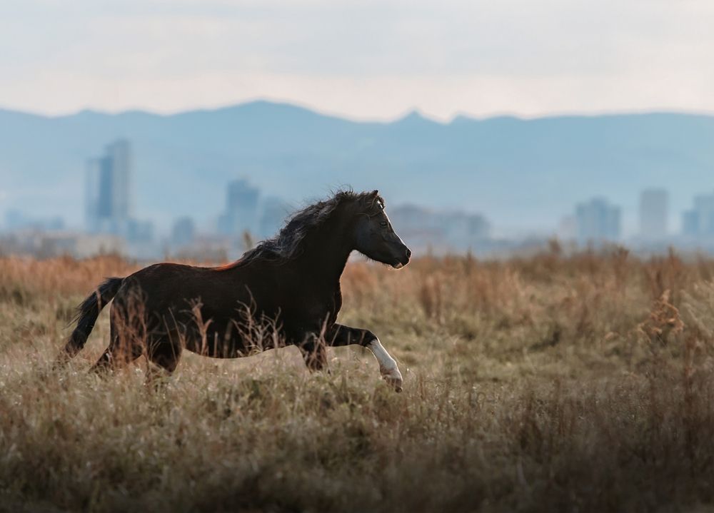 Photograph by Любовь Похабова
