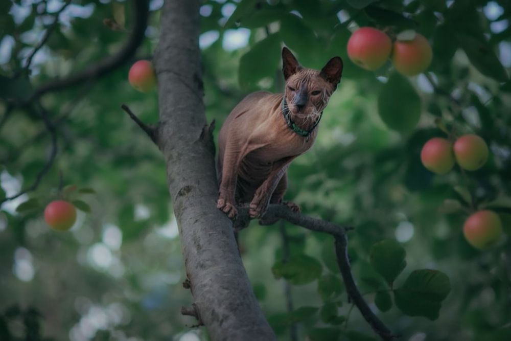 Photograph by Marina Ivanova