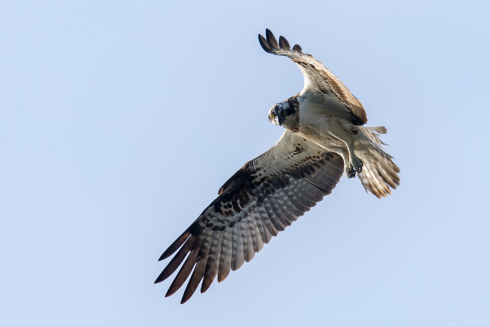 Photograph by Valerijs Bukovskis