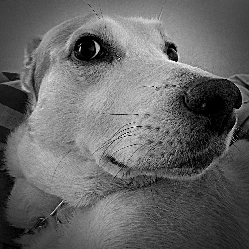 Photograph by Сергей Рапопорт