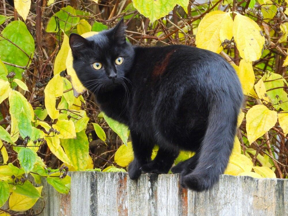 Photograph by Ольга Митрофанова