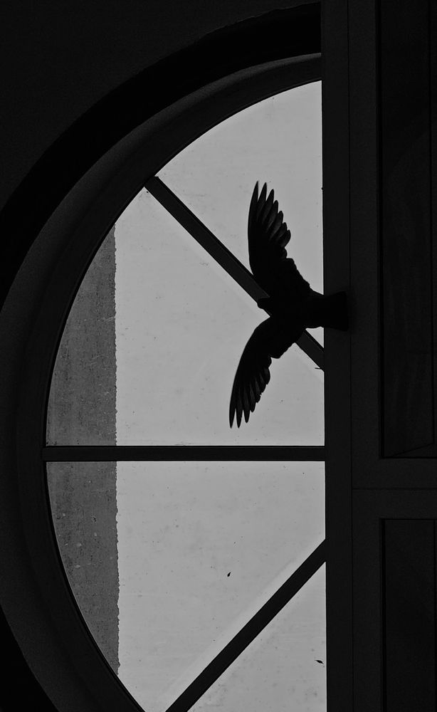 Фотография автора Maria Yakovleva