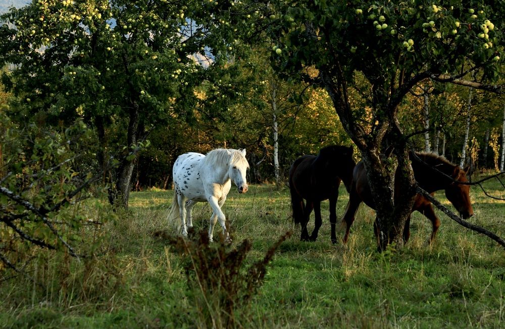 Фотография автора Голубков Леонид