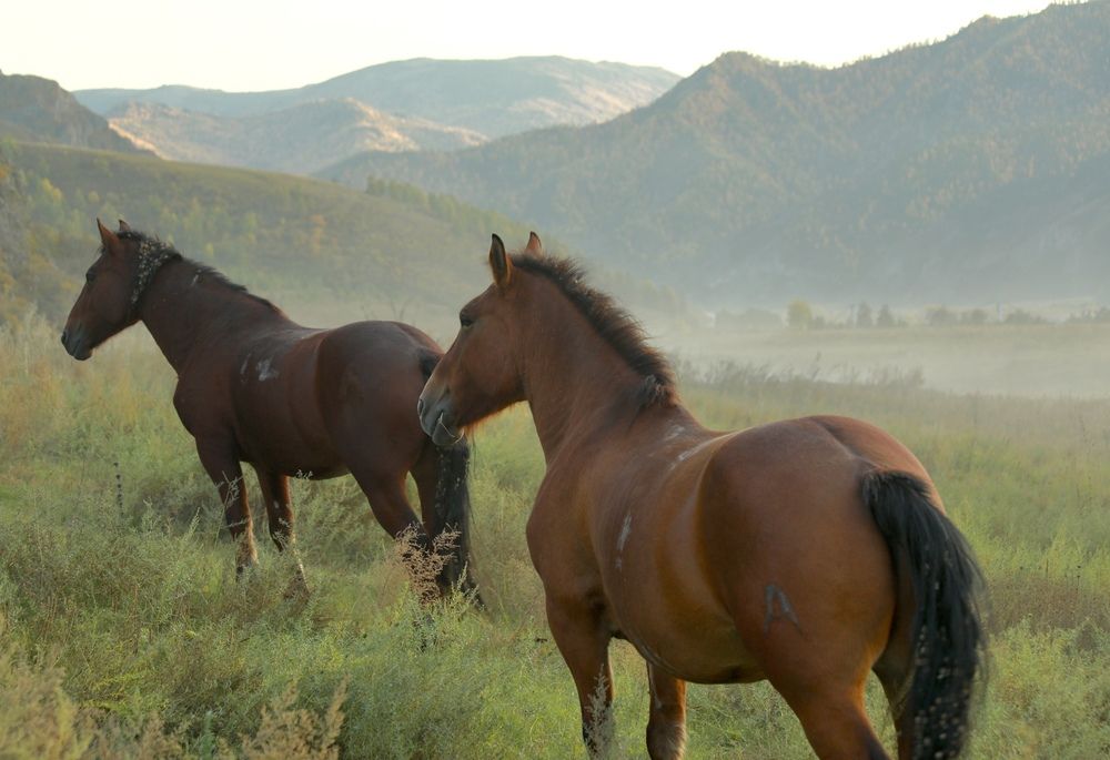 Фотография автора Голубков Леонид