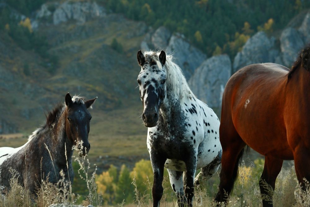Фотография автора Голубков Леонид