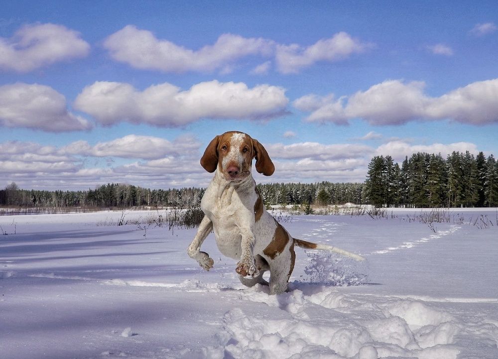 Photograph by Марина Безенкина