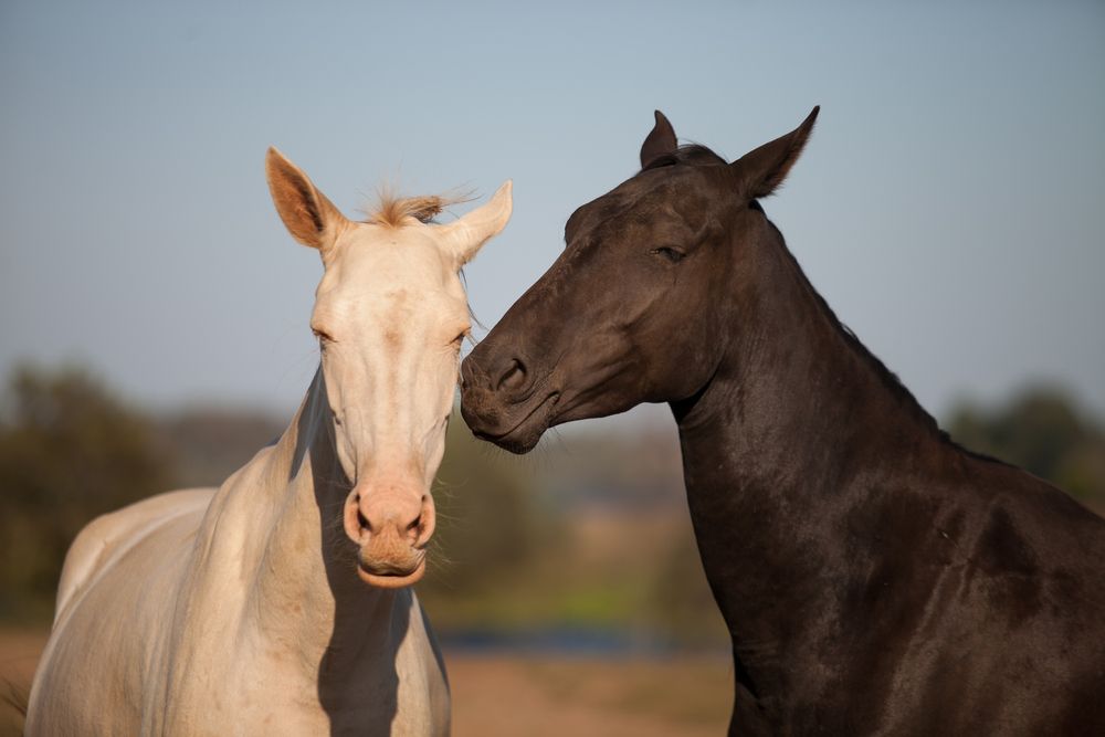 Photograph by Лолита Богачева
