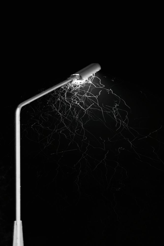 Photograph by Марина Иванникова