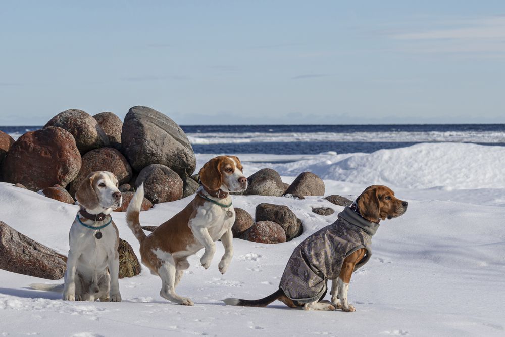 Photograph by Юлия Куликова