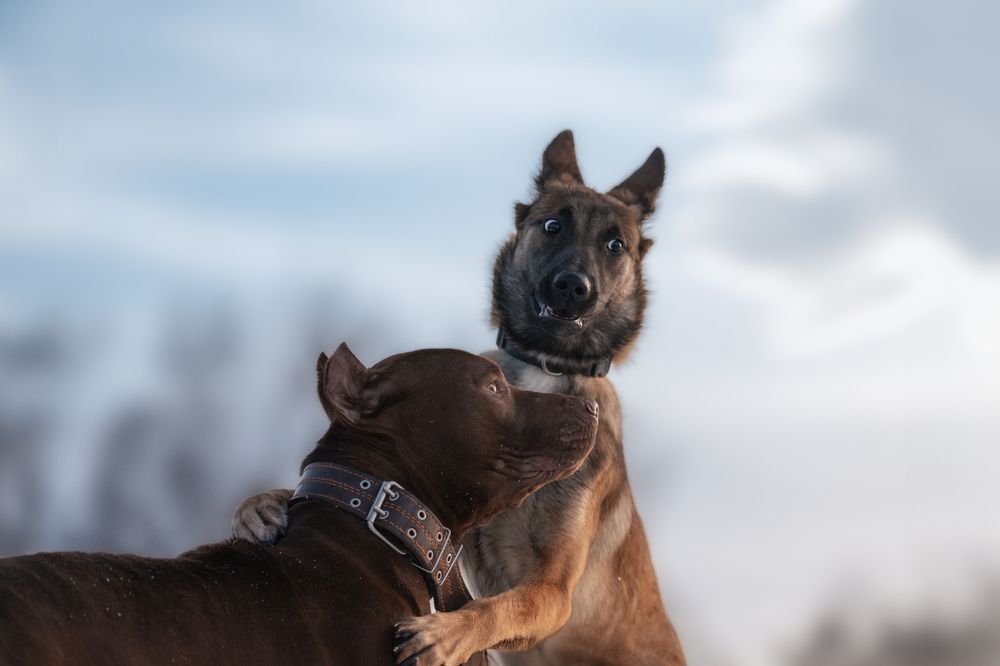 Photograph by Nephotograph