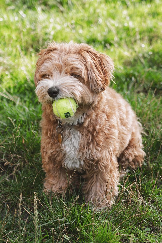Photograph by Oxana Berezovskaya