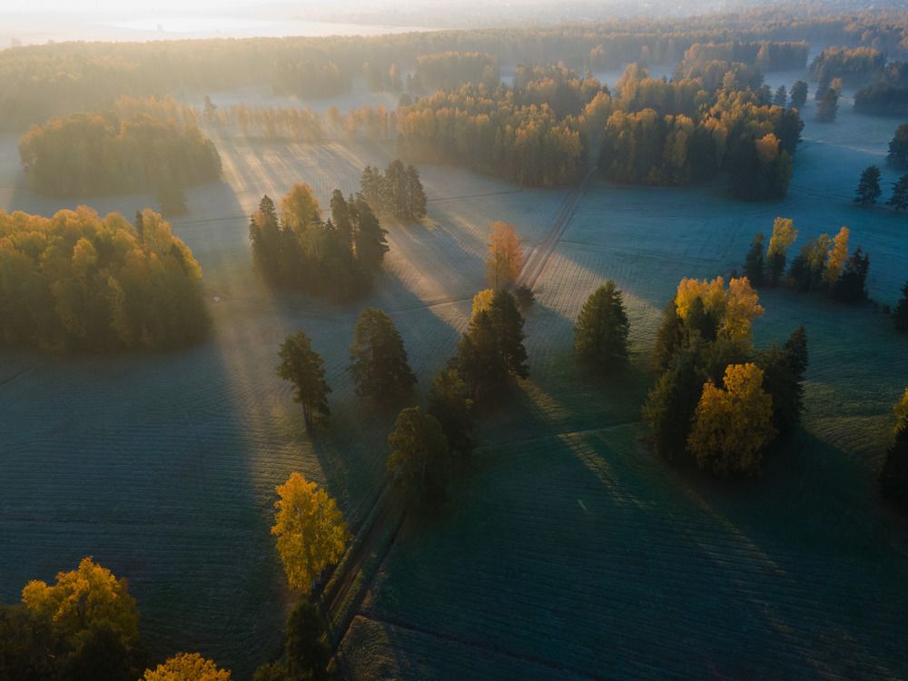 Photograph by Александр Лис