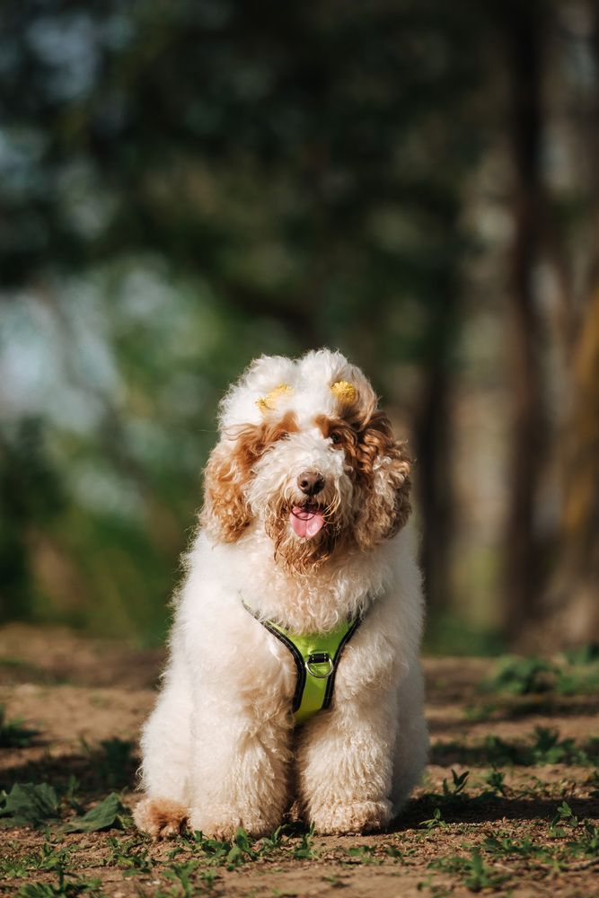 Photograph by Olga Nebelskaya