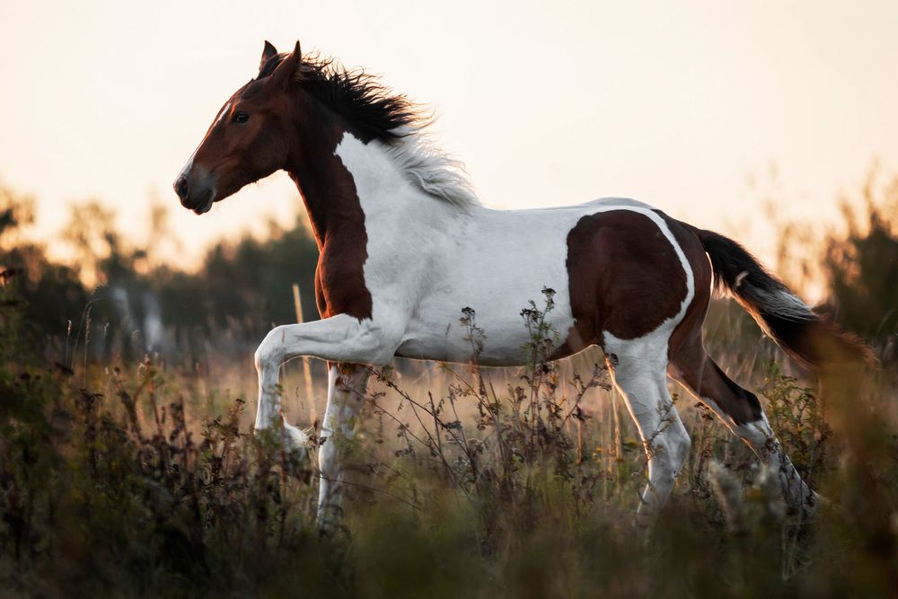 Фотография автора Anastasiya