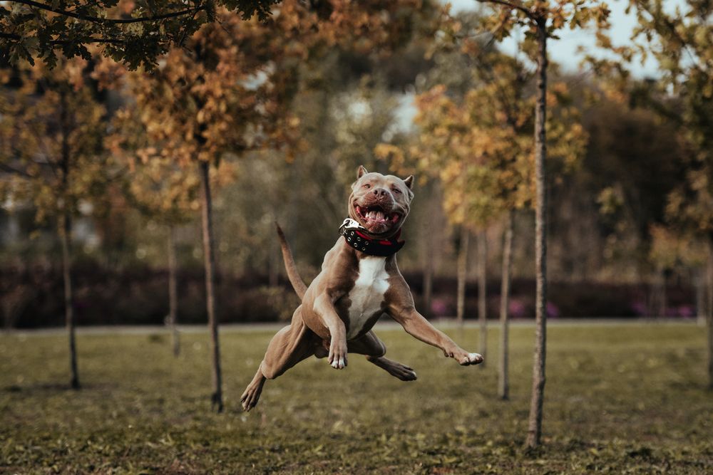 Photograph by Olga Nebelskaya