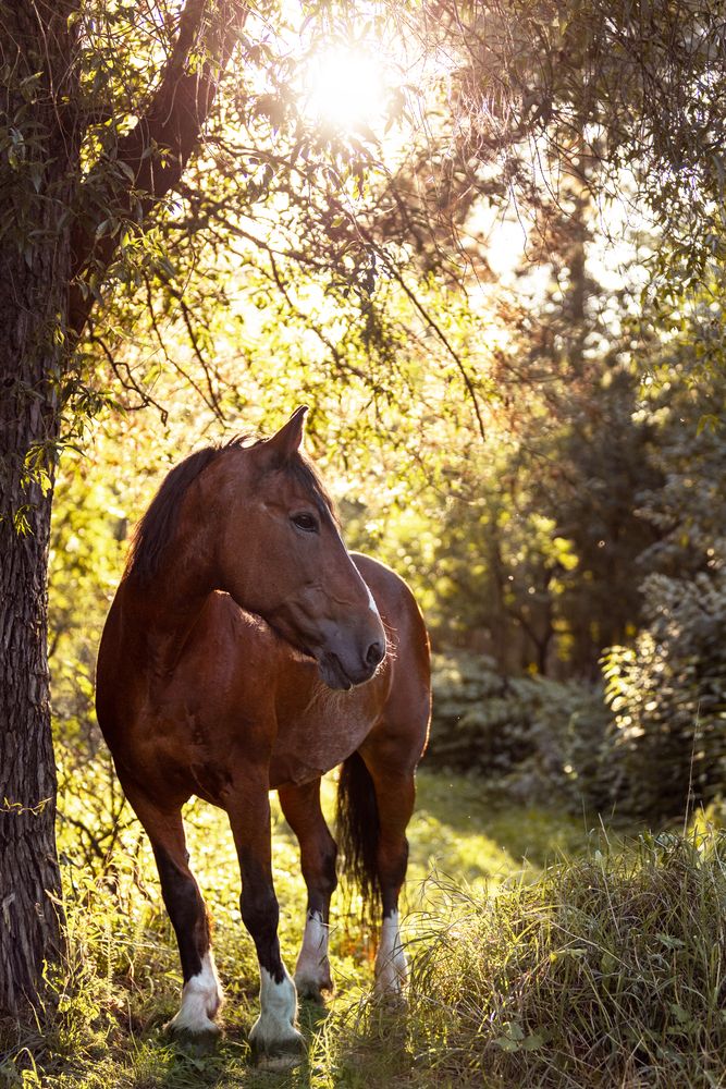 Фотография автора Anastasiya