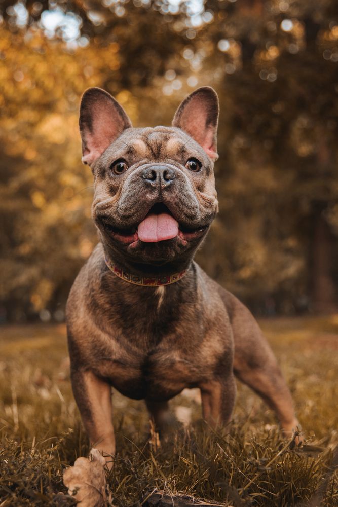 Photograph by Olga Nebelskaya