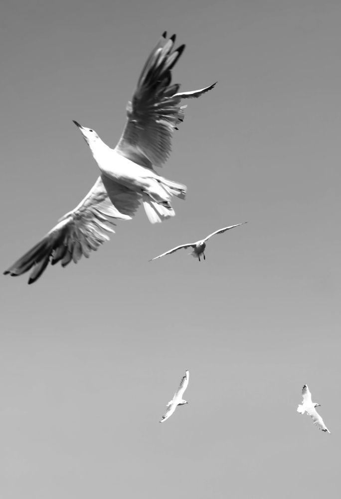 Photograph by Елена