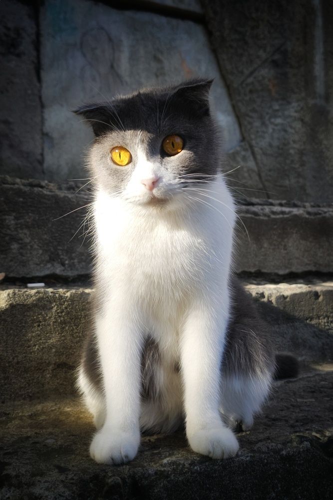 Photograph by Микрокосмос Владимир