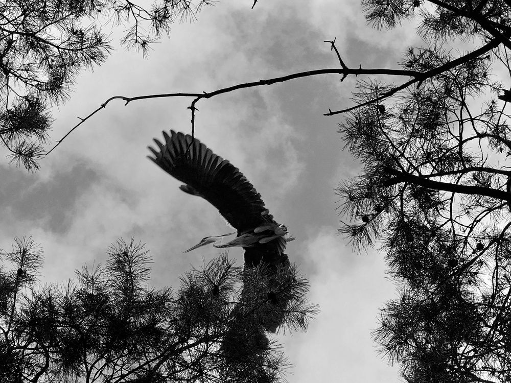 Фотография автора Maria Yakovleva