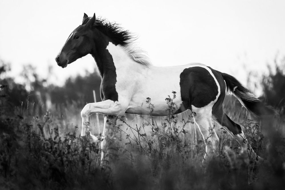 Фотография автора Anastasiya