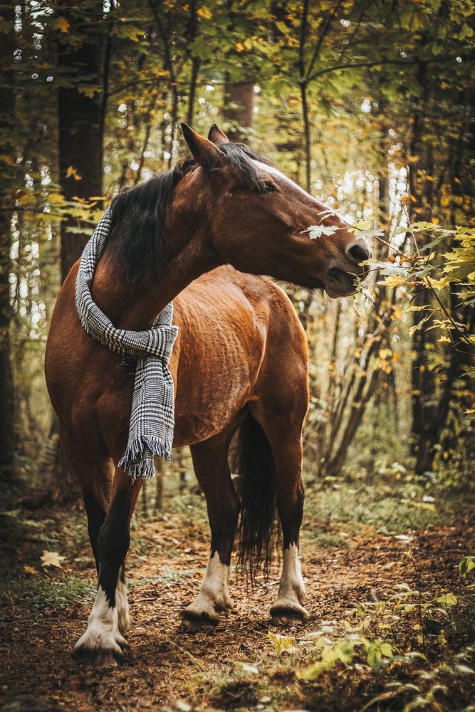 Фотография автора Anastasiya