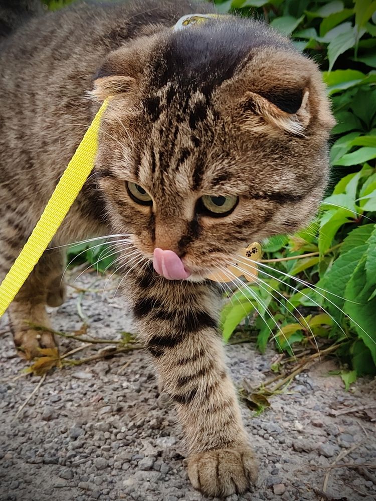 Photograph by Марина Иванникова