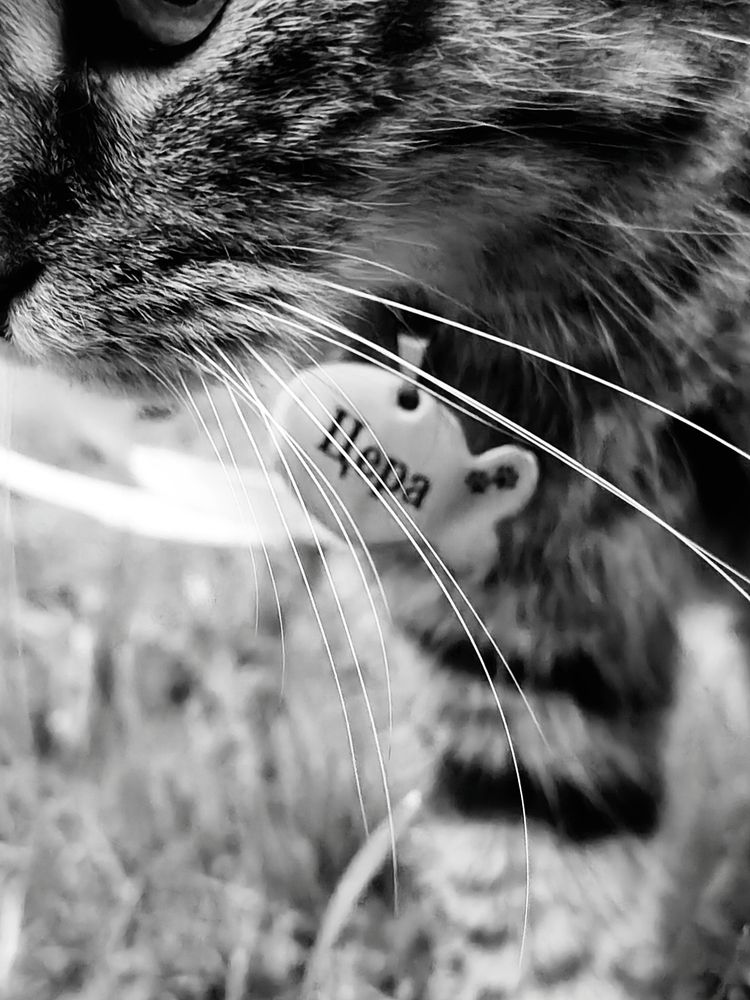 Photograph by Марина Иванникова