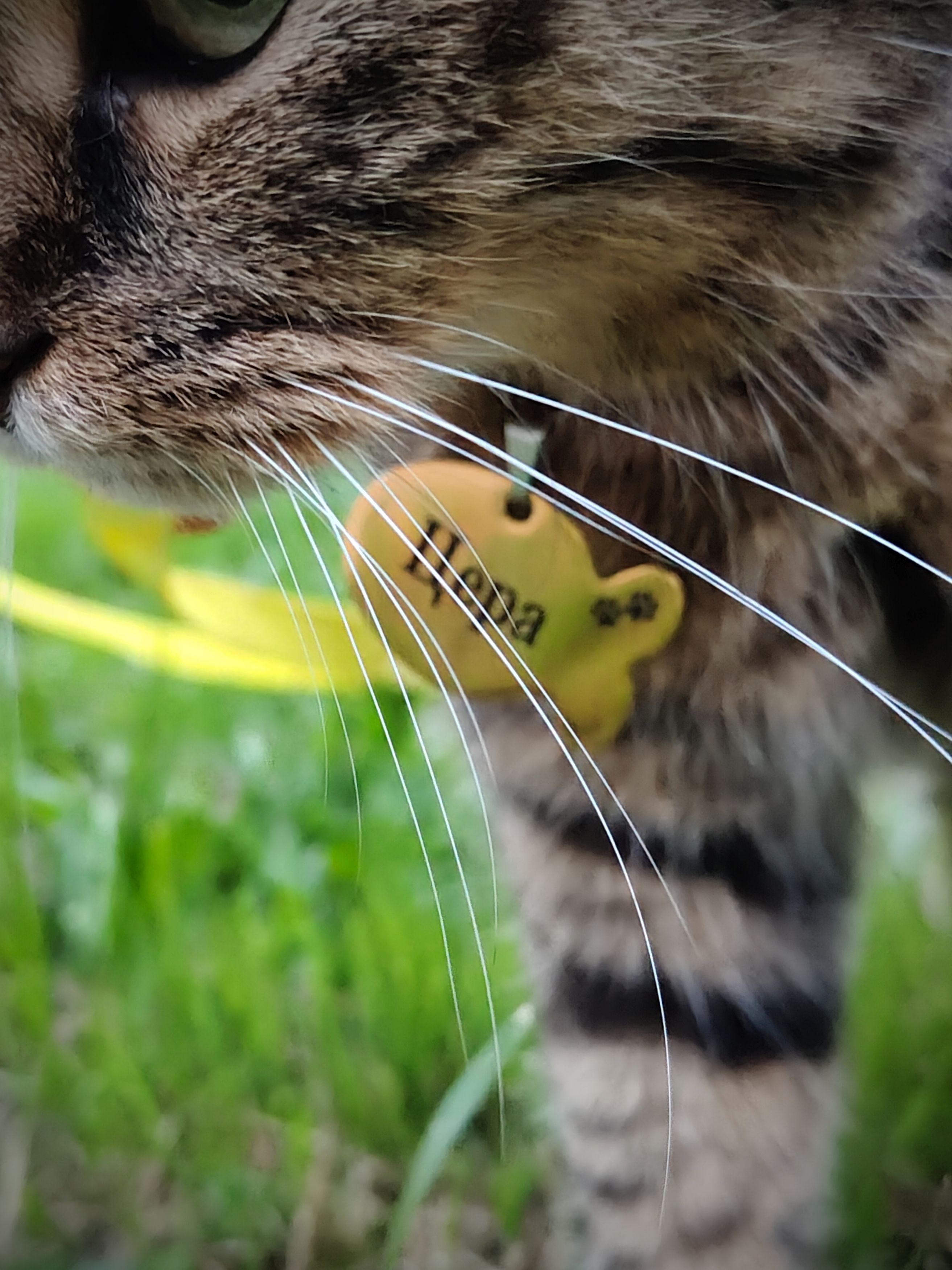 Photograph by Марина Иванникова