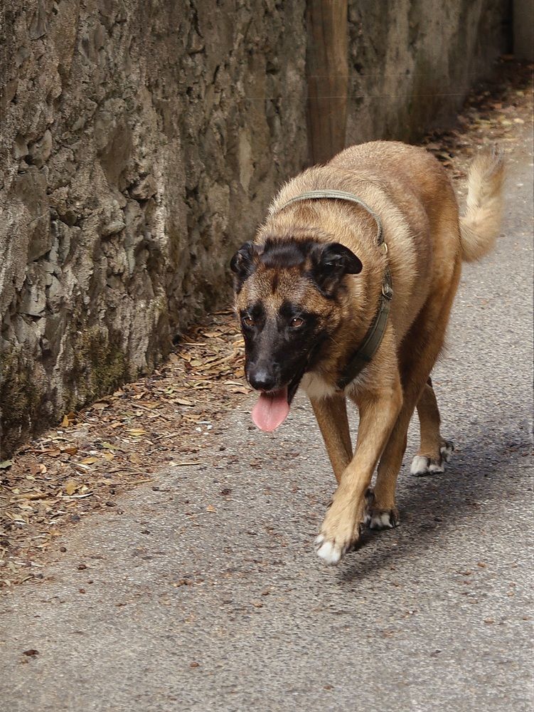 Photograph by Halyna Khomyk