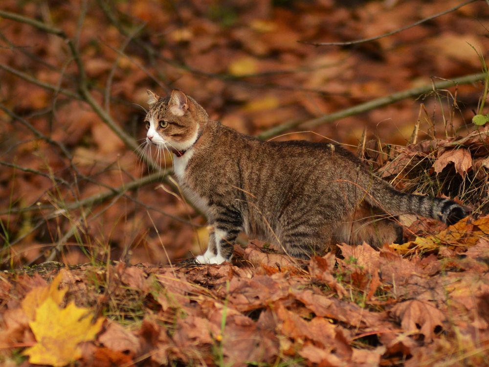 Photograph by Ольга Заповедная