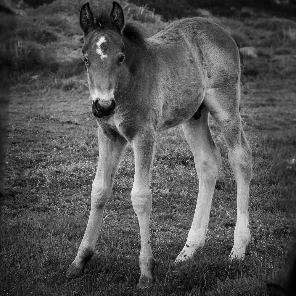 Photograph by Анна Стрелковская