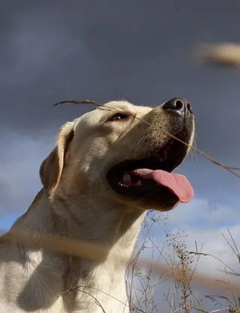 Photograph by Елена Кузина