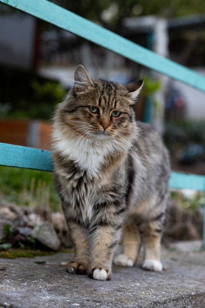 Photograph by Павел Дженбаз